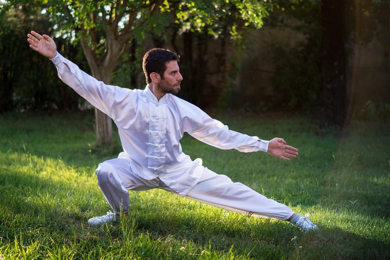 Chen Style Taijiquan